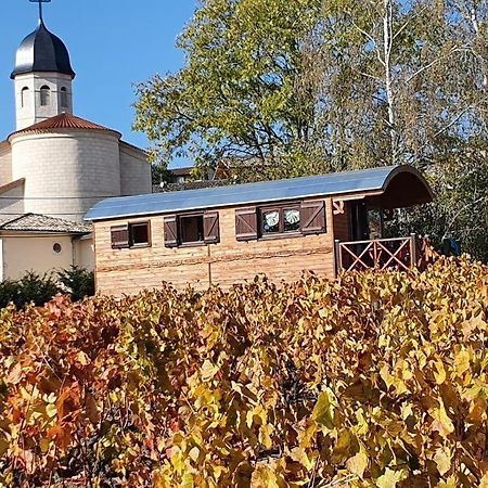 La Roulotte De Chiroubles Guest House Eksteriør bilde